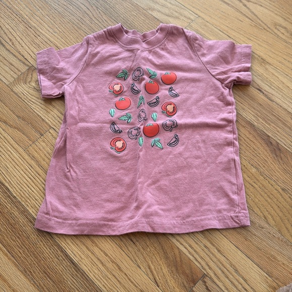 Rabbit Skins Other - 5/$25 Tomato Shirt 3T